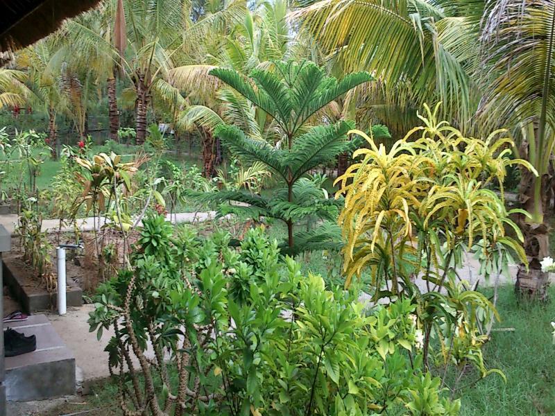 Fantastic Cottages Gili Meno Exterior foto